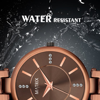 DAISY Stone Studded Bracelet Analog Watch for Women